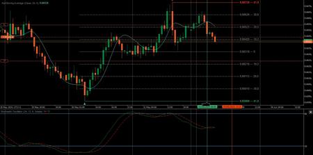 "SparrowBot-FreeTrial-V2" 标识
