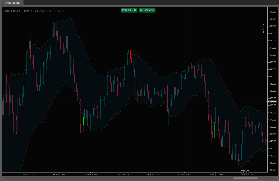 Imagem carregada de "ATR SnapBack Bands"