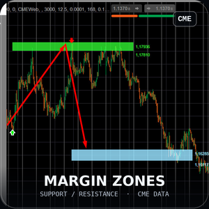 Logo "MyZtrade margin zones"