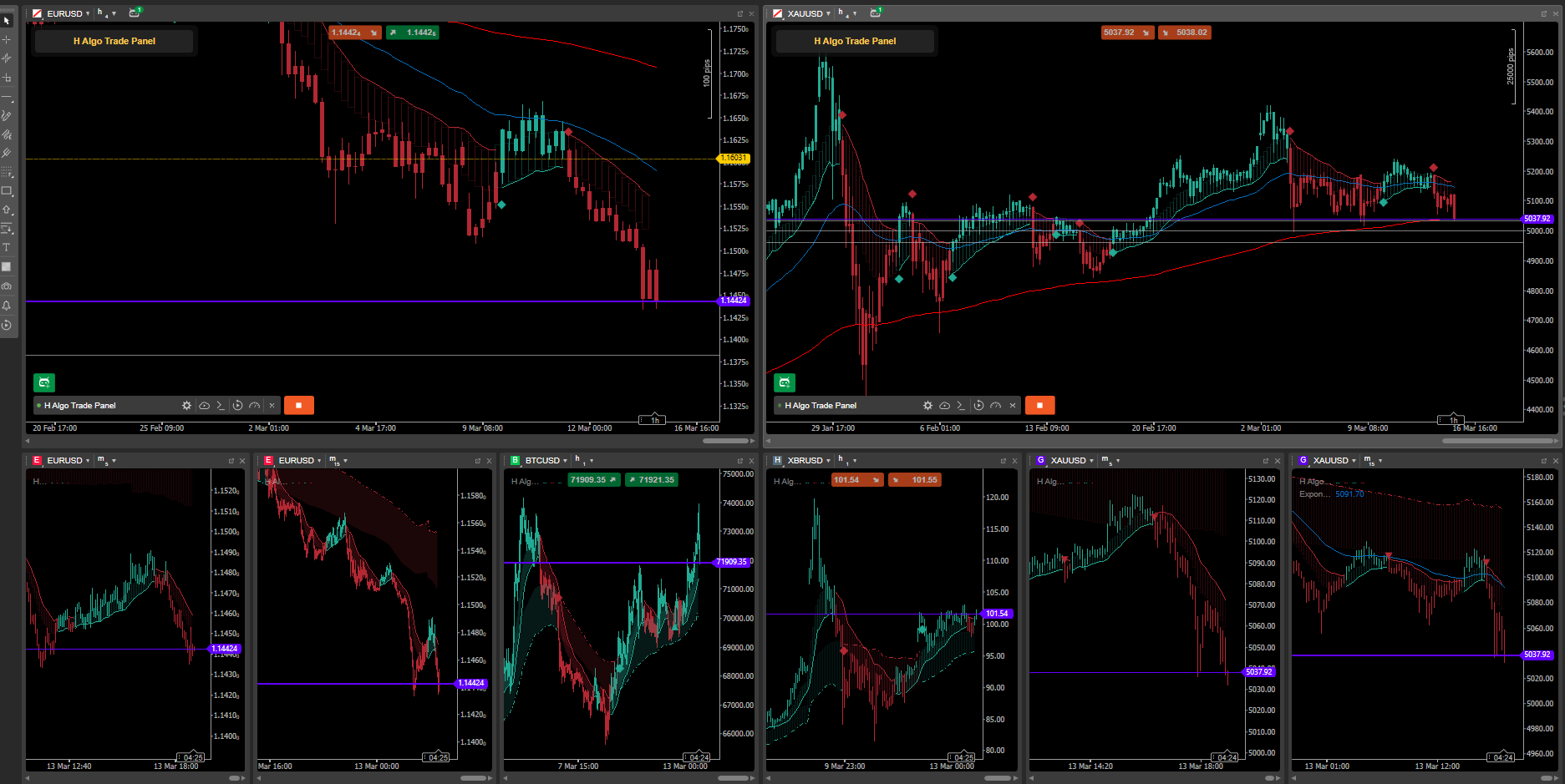 "H Algo" uploaded image