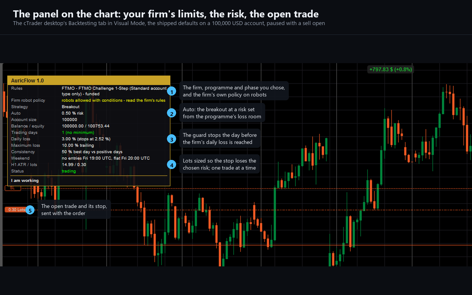 Trading product for AuricFlow cBot Stop Loss (SL) Manager Prop Firm Fit, image 5