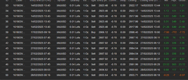 Imagen cargada de "StrategieForexGaby2025_UPDATE_v5.3.12_noSourceCode"