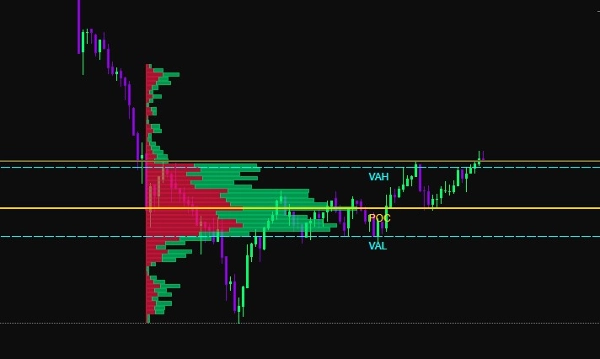 "v-anesore2" 업로드된 이미지