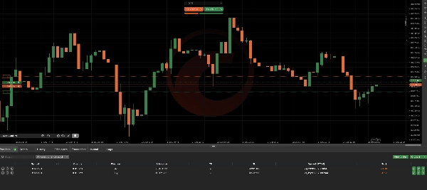 "AutoGuard Pro" uploaded image
