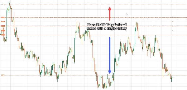 "AlgoCorner Gradient Orders" 已上传图片