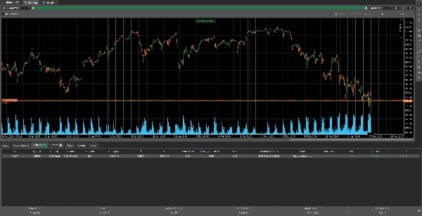 Image mise en ligne de "BASIC us500 SHORT 35%"