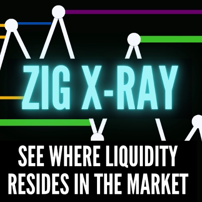 "ZigXRay" 로고