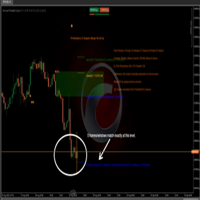 "Reversal Probability Engine" logo
