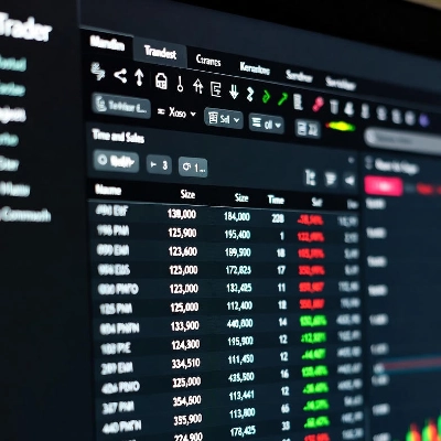 "Time and Sales viewer" logo