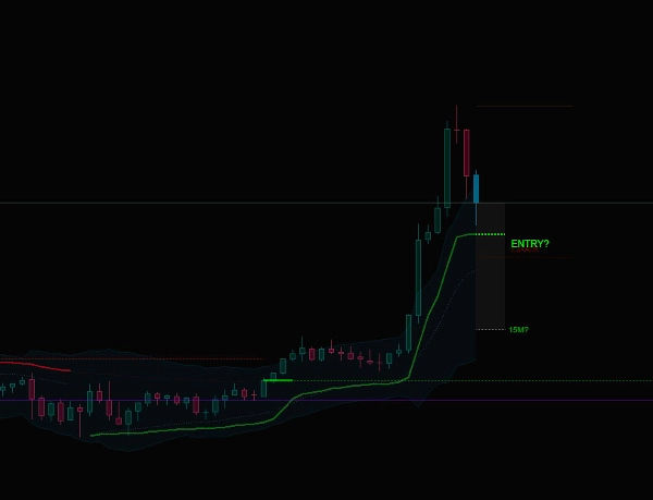 "VWAP Touch Pro V4" uploaded image