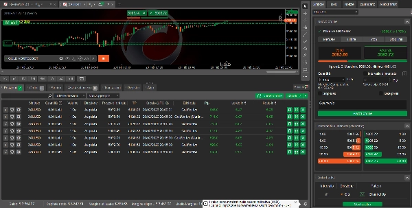 In „GOLD VORTEX BOT“ hochgeladenes Bild