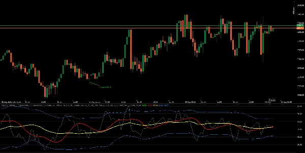 "TDI_Pro" uploaded image