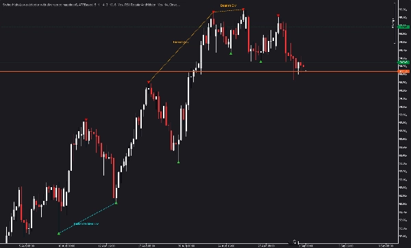 Trading product for Swing HighsLows detector with divergence mapping Indicator Key Levels RSI, image 6