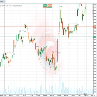 "Dynamic Market Structure Analysis of Turning Points" 로고