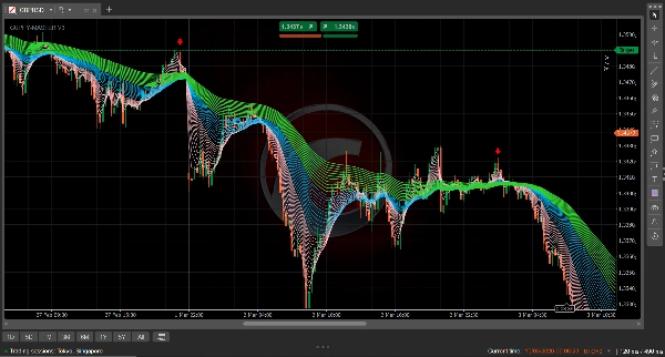 Przesłany obraz „GUPPY-MASTER V3”