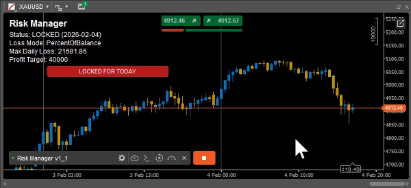 "Risk Manager v2_2" yüklenen resmi