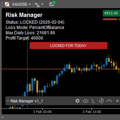 „Risk Manager v2_2“-Logo
