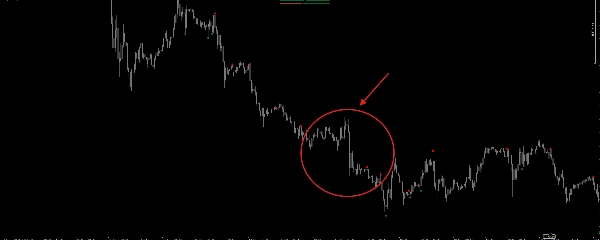 "Major Tops and Bottoms" 업로드된 이미지