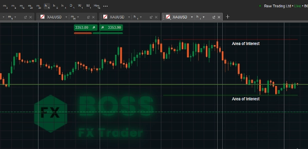 Imagen cargada de "Area of Interest"