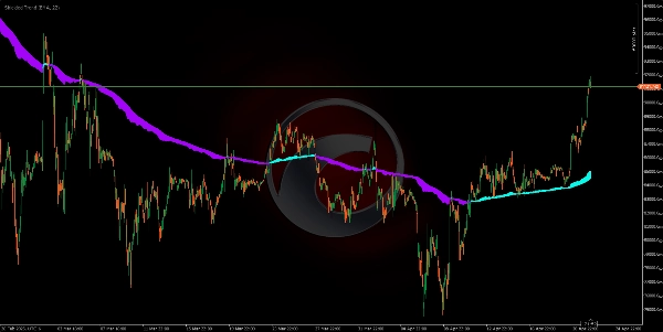 "Shielded Trend" uploaded image