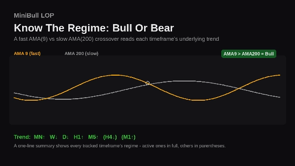 Trading product for Minibull Location of the Price and Volume Indicator SMA Key Levels, image 4