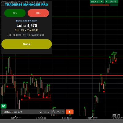 Logo "ULTIMATE-Ord-MAN"