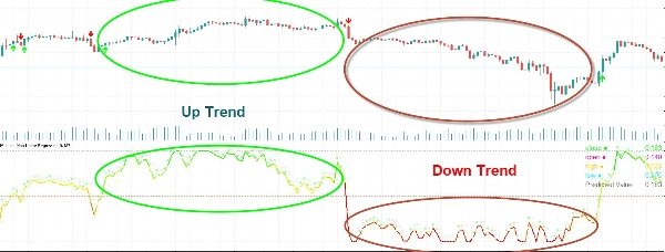 Immagine caricata di "Multiple Non-Linear Regression"