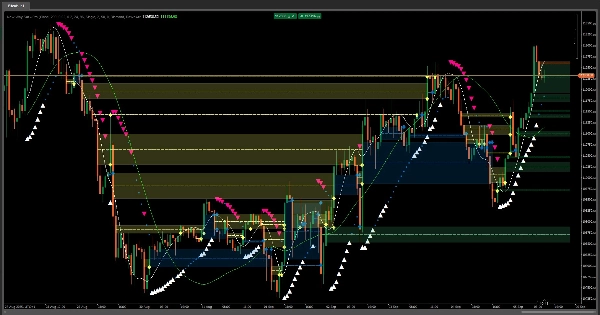 Immagine caricata di "New Way Sar - Pro"