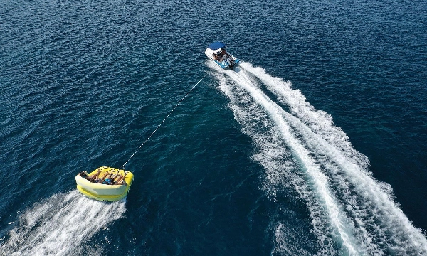 Przesłany obraz „ForexAlgosBlackBox_noSourceCode”