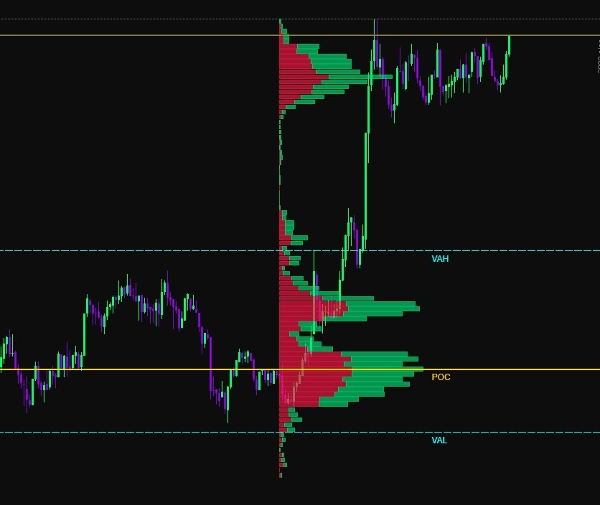 "v-anesore2" 업로드된 이미지