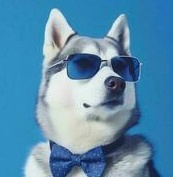 "RiskOnTrade (DEMO)" uploaded image