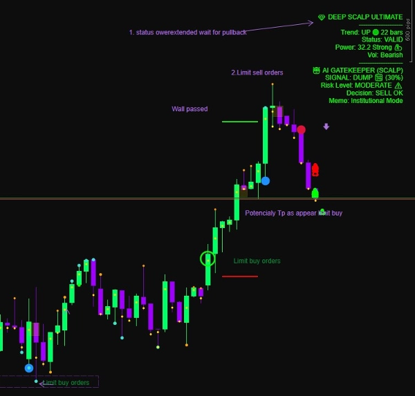 "Market Depth Visualizer_DOM_noSourceCode" uploaded image