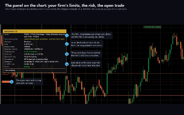 Trading product for AuricFlow cBot Stop Loss (SL) Manager Prop Firm Fit, image 5