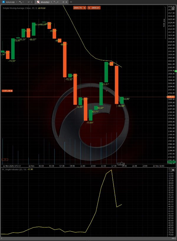 "IM_AngleIndicator" 업로드된 이미지