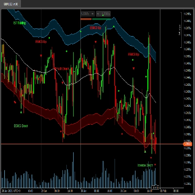 "E7 BBKG Indicator" 로고