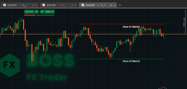 Imagen cargada de "Area of Interest"