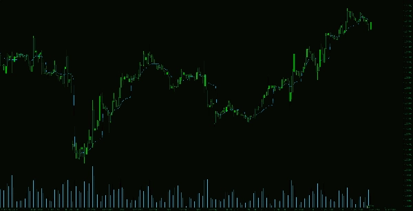 "VWAP Tokyo Open" uploaded image