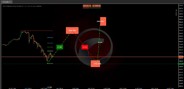 "Price Projection Swing Volume" 已上传图片