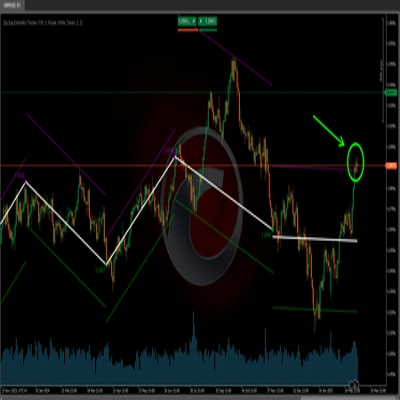"Zig-Zag Extremity Tracker" logo