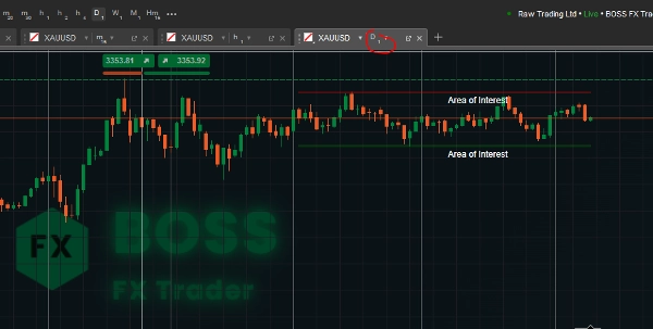 Imagen cargada de "Area of Interest"