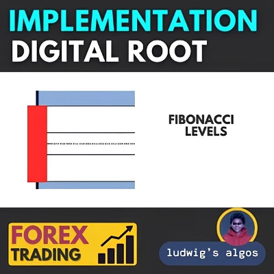 "DIGITAL IMPLEMENTATION SYSTEM" logo