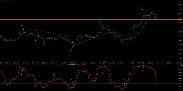 Загруженное изображение продукта "RSI AUSAMA"