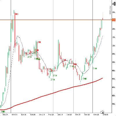 "Grafico Diario" 标识