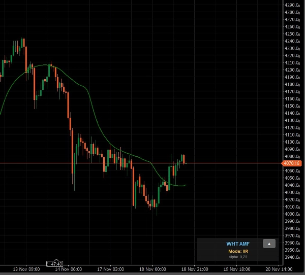 In „WHT AMF“ hochgeladenes Bild
