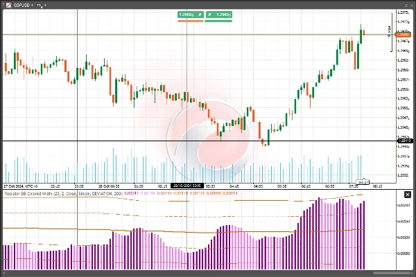 Imej yang dimuat naik "Repiptor BB Colored Width"