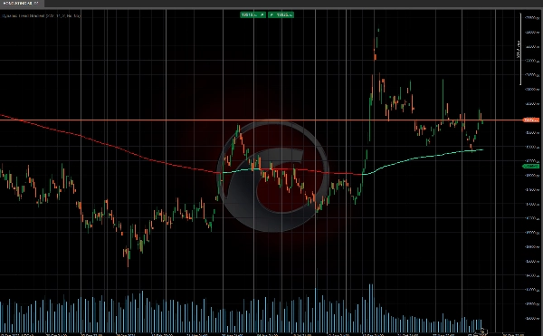 "Dynamic Trend Gradient" 업로드된 이미지