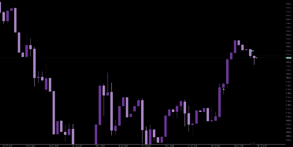 Загруженное изображение продукта "WeOpen"