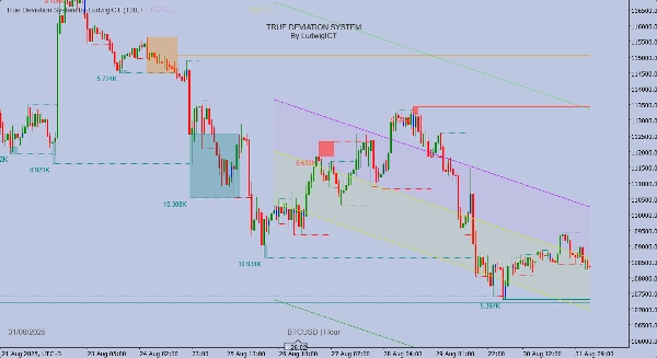Загруженное изображение продукта "True Deviation System "