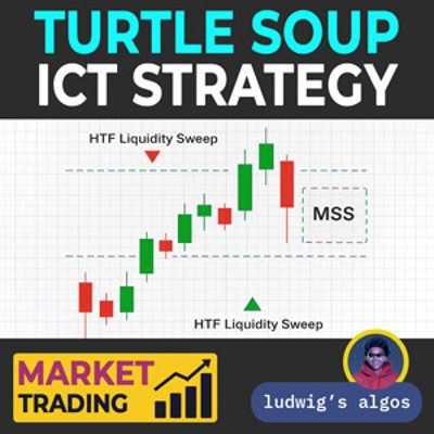 Logo „Turtle Soup ICT Strategy ”