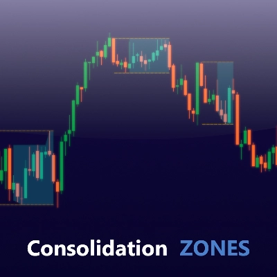 Logo „Consolidation Zones”